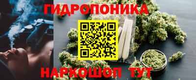 ГАЛЛЮЦИНОГЕННЫЕ ГРИБЫ Нальчик